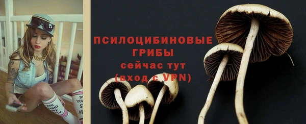 марки lsd Балахна
