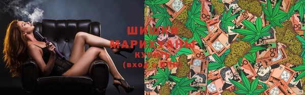 шишки Баксан