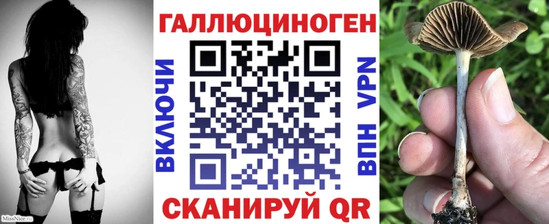 Галлюциногенные грибы Cubensis  Лесной 